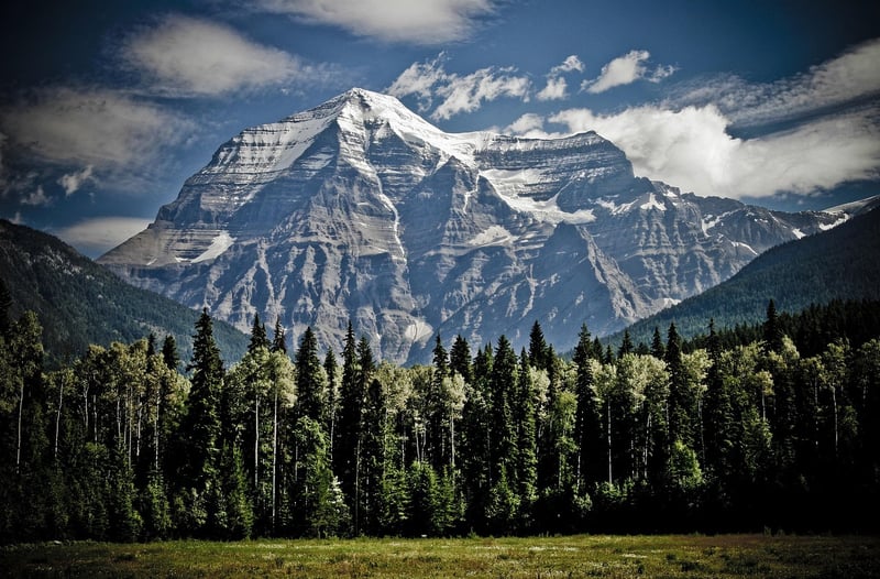 Mountain Wilderness
